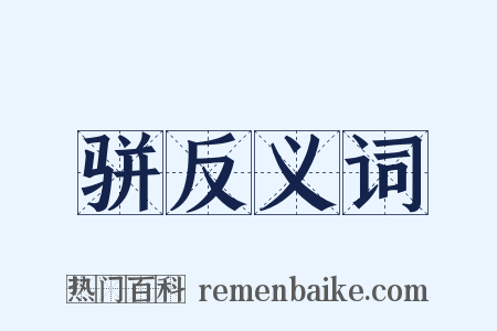 骈反义词是什么意思的图片